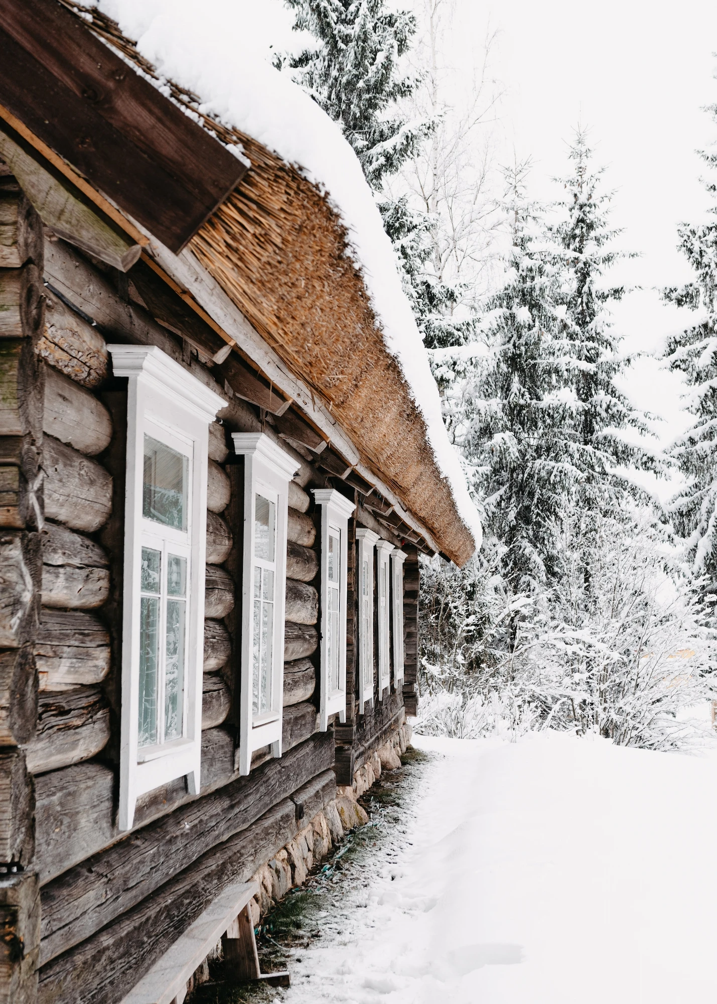 Plakat House in Mountains