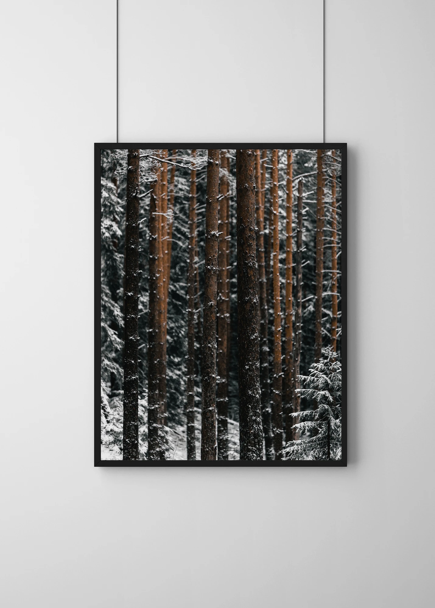 Plakat Tree Limbs - obrazek 2